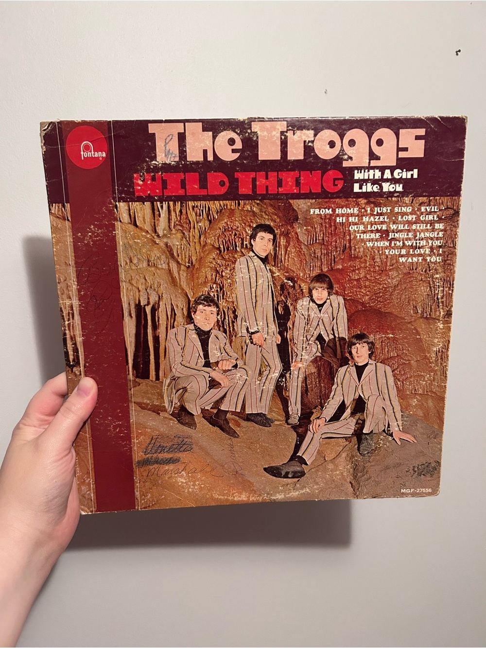 The Troggs "Wild Thing" Vintage Vinyl Album Record
